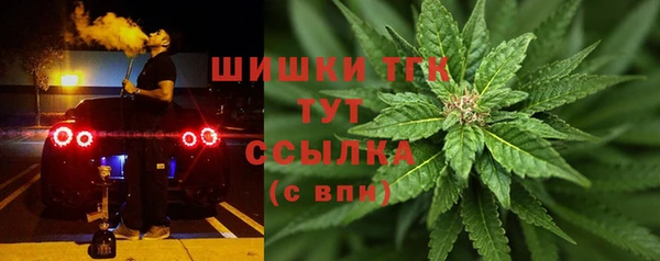 мет Алексин