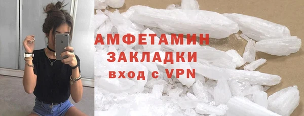мет Алексин