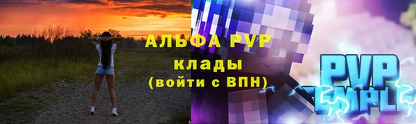 мет Алексин