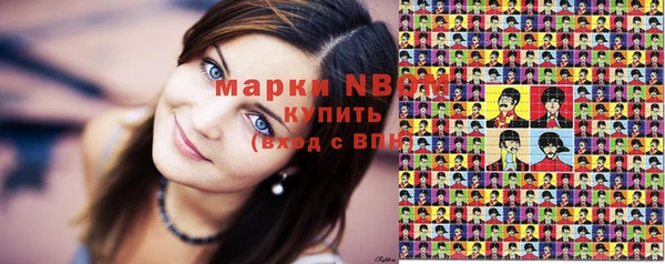 мет Алексин