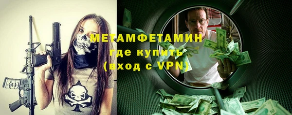 мет Алексин
