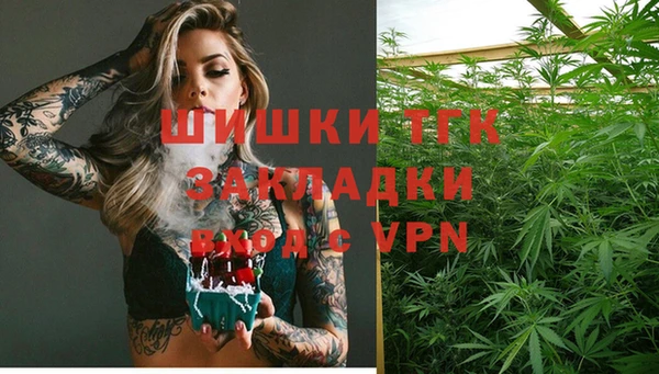 мет Алексин