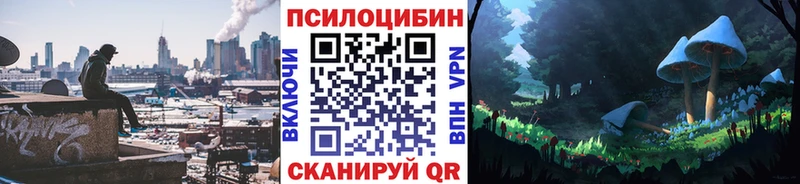Галлюциногенные грибы MAGIC MUSHROOMS  даркнет сайт  кракен tor  Могоча 