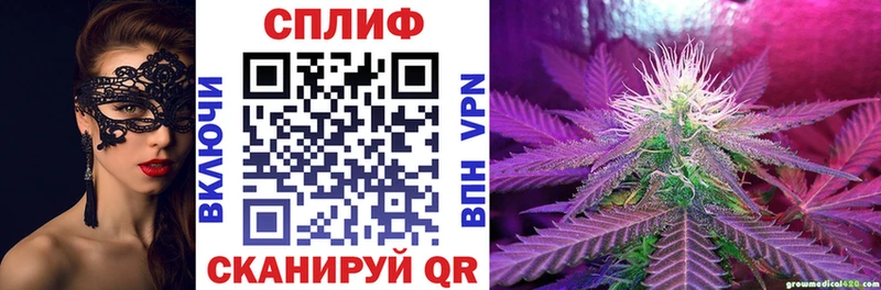 блэк спрут ссылки  как найти   Могоча  Каннабис сатива 